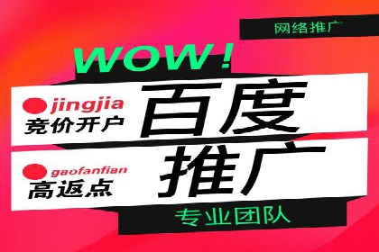 竞价SEM案例分享：快速提高网站流量技巧